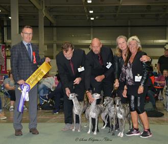 The Breeder Group with judge: Thomas Munch, Germany